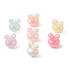 Opaque Acrylic European Beads OACR-G058-04-1