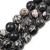 Natural Black Netstone Beads Strands G-L648-A11-16mm-3