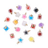 Mega Pet 80Pcs 20 Style Plastic/Resin Frosted Pendants FIND-MP0001-01-9