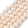 Natural Cultured Freshwater Pearl Beads Strands PEAR-I007-07T-01-2