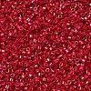 MIYUKI Delica Beads SEED-MY11-DB0214-1