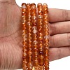 Natural Banded Agate Beads Strands G-Z111-A01-01-2