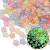 Luminous Transparent Acrylic Beads X-OACR-B031-14-1