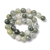Natural Gemstone Beads Strands G-F808-C02-12mm-3