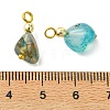 Natural Agate(Dyed & Heated) Tumbled Stone Pendants PALLOY-JF05540-01-3