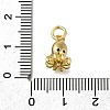 Brass Micro Pave Clear Cubic Zirconia Charms X-ZIRC-I070-076G-3