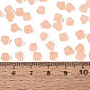 FGB Frosted Transparent Glass Seed Beads SEED-N013-03A-04-4