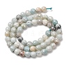 Electroplated Natural Flower Amazonite Beads Strands G-B191-A03-6mm-4