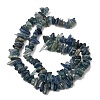 Natural Kyanite/Cyanite/Disthene Chip Beads Strands X-G-E271-78-6