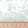 TOHO 11/0 Round Beads X-SEED-TR11-PF2118-3
