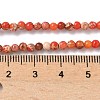 Dyed Natural Regalite/Imperial Jasper/Sea Sediment Jasper Beads Strands G-B124-C05-03-2
