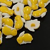 Acrylic Shank Buttons BUTT-E050-08-1