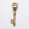 Tibetan Style Alloy Pendants TIBEP-EA10909YKG-AG-LF-2