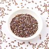 MIYUKI Half TILA Beads SEED-MY05-HTL257-2