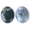 Natural Indian Agate Cabochons PW-WG8E62B-01-3