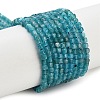 Natural Blue Apatit Beads Strands G-H042-B12-01B-1