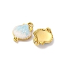 304 Stainless Steel Light Cyan Enamel Shell Shape Connector Charms STAS-U061-06G-2