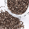 FGB Plated Glass Seed Beads SEED-S020-03B-06-1