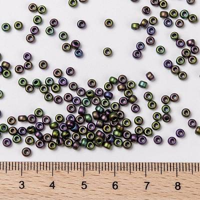 MIYUKI Round Rocailles Beads X-SEED-G008-RR2019-1