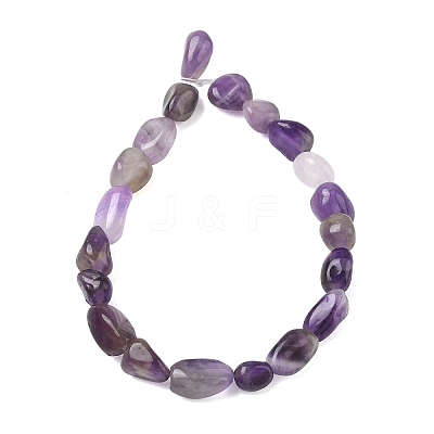 Natural Amethyst Beads Strands G-C286-A30-1