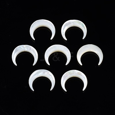 Natural White Shell Mother of Pearl Shell Beads SSHEL-T012-07-1