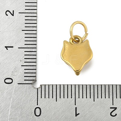 304 Stainless Steel Charms STAS-P391-01B-G-1
