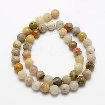 Natural Bamboo Leaf Agate Beads Strands G-K194-8mm-01-1
