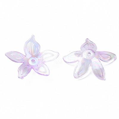 Transparent Acrylic Beads MACR-S373-102-C03-1