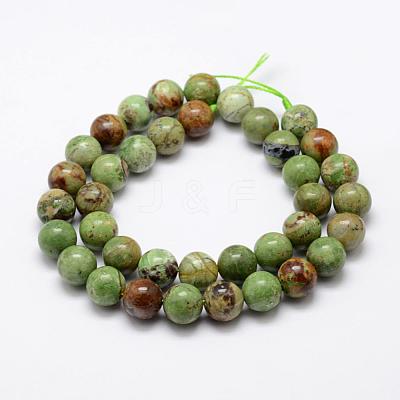 Natural Green Opal Beads Strands G-K209-04B-10mm-1