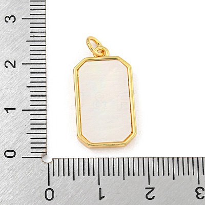 Rack Plating Brass Pave Clear Cubic Zirconia Pendants KK-Z048-02G-1