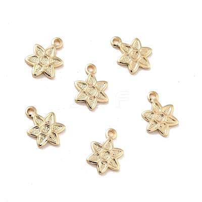 Rack Plating Brass Charms KK-D083-21G-1