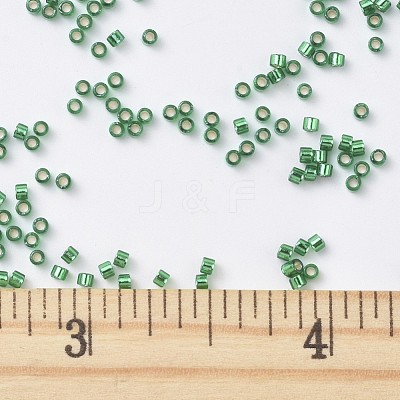 MIYUKI Delica Beads SEED-J020-DB0605-1