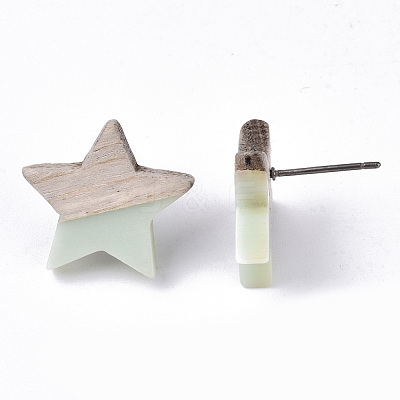 Resin & Wood Stud Earrings EJEW-N017-001A-C03-1