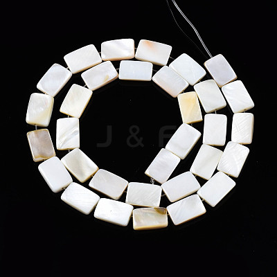 Natural Freshwater Shell Beads Strands SHEL-Q024-013-1
