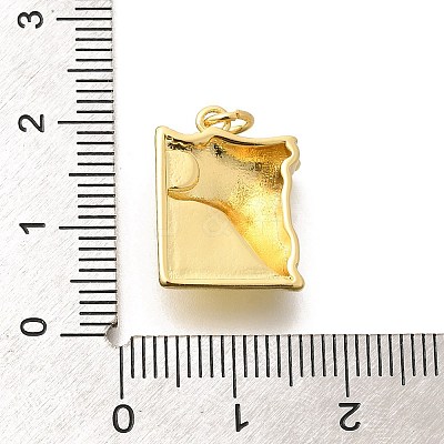 Brass Pendants KK-L225-048G-1
