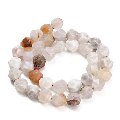 Natural Agate(Dyed & Heated) Beads Strands G-K425-B09-01-1