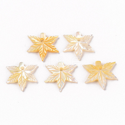 Natural Yellow Shell Charms SSHEL-R144-34-1