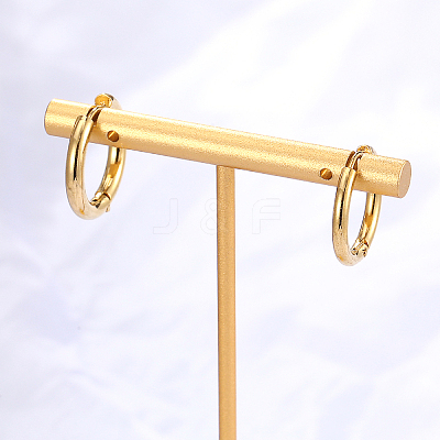 201 Stainless Steel Hoop Earrings for Women DR6966-1