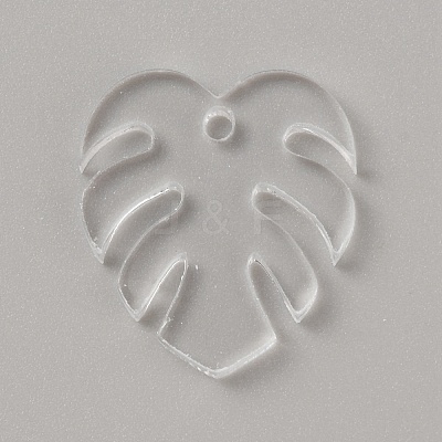 Acrylic Pendants LS-TACR-WH0025-04B-1