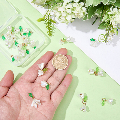30Pcs Pearlized Acrylic Penadnts FIND-BM0001-66-1