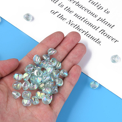 Transparent Acrylic Beads MACR-S373-131-C07-1
