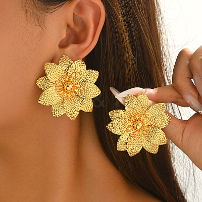 Iron Stud Earrings for Women RH0706-3-1