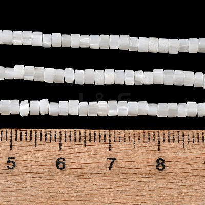Natural Freshwater Shell Beads Strands X-SHEL-K006-72C-1