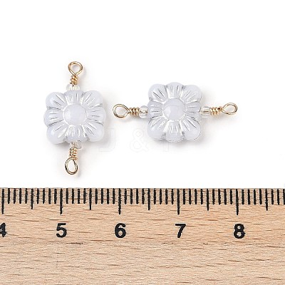Opaque Acrylic Links Connector Charms KK-K296-07A-G-1