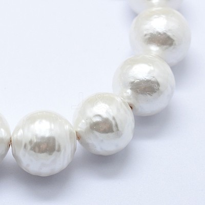 Shell Pearl Beads Strands BSHE-K053-02-14mm-1