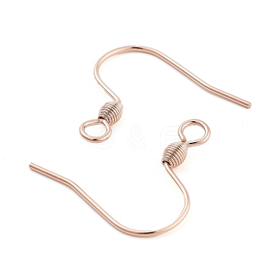 304 Stainless Steel Earring Hooks STAS-E484-55RG-1