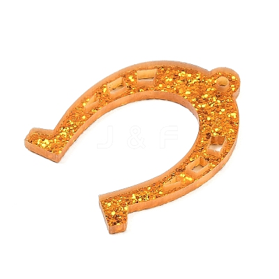 Transparent Acrylic Pendants FIND-K017-08-1