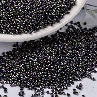 MIYUKI Round Rocailles Beads X-SEED-G009-RR2019-1