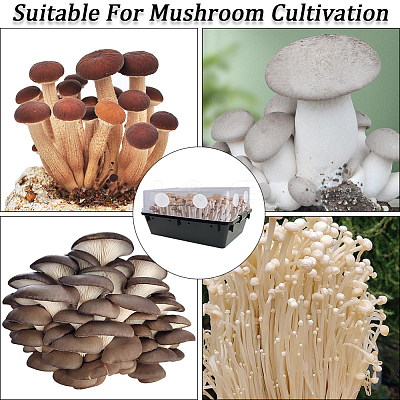 Cotton Planting Supplies Filter Pad for Mushroom AJEW-WH20019-92-1