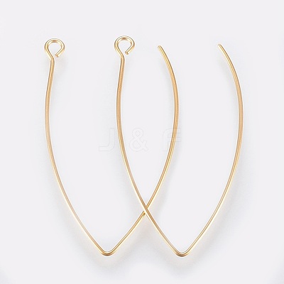 Ion Plating(IP) 304 Stainless Steel Earring Hooks STAS-K184-05-01G-1